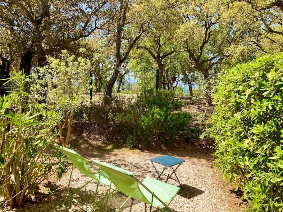 Les Restanques Rez Jardin 2063 Appartement Grimaud