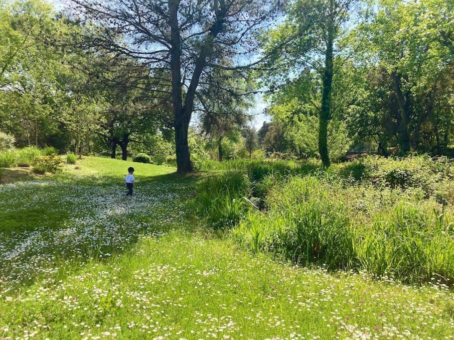 Apartamento Les Restanques Rez Jardin 2063 Grimaud